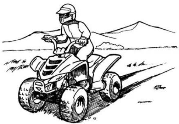 YAMAHA YFM110R (2024) - ! AVERTISSEMENT - 1