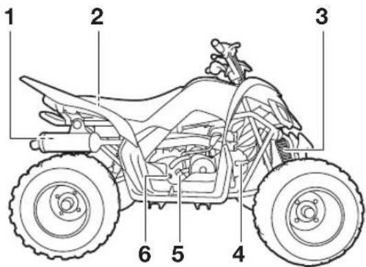 YAMAHA YFM110R (2024) - DESCRIPTION - 2