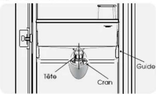 Tête Cran Guide