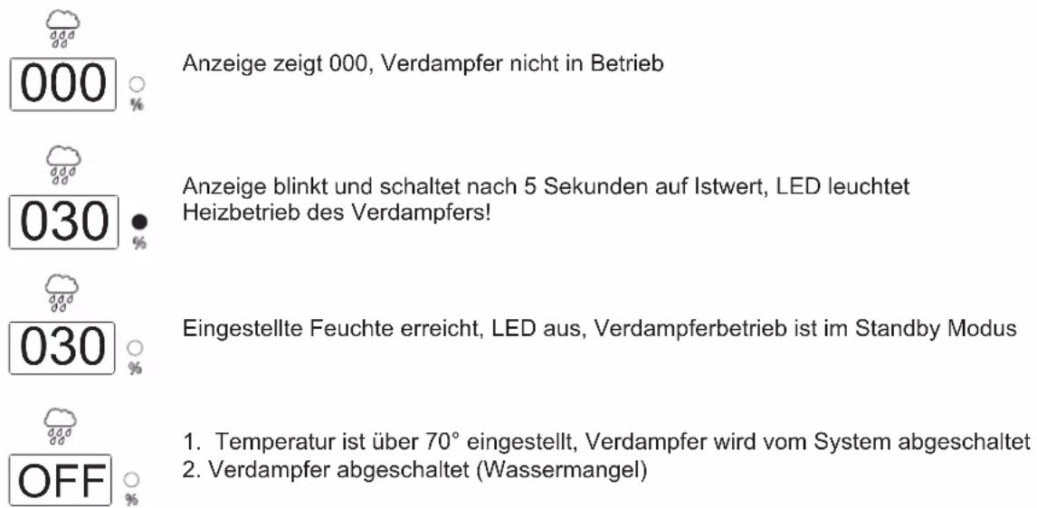 Karibu Pölva 1 - Feuchte - 1