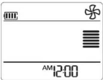 AM12:00