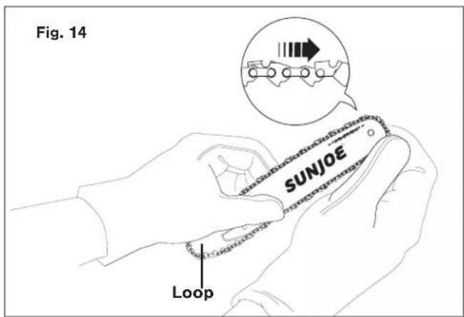 Fig. 14 SUNJOE Loop