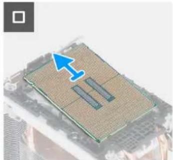 DELL Precision 5860 Tower - 關於此工作 - 4