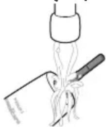 PHILIPS Sonicare 4100 Series HX3683 - Dantu šepetélio rankenèle - 1