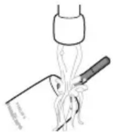 PHILIPS Sonicare 4100 Series HX3683 - Handvat van tandenborstel - 1