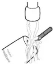 PHILIPS Sonicare 4100 Series HX3683 - TnW 1eTKacbIHbIH KapMaIbIybl - 1