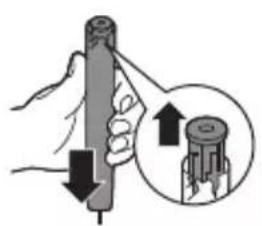 PHILIPS Sonicare 4100 Series HX3683 - Rimozione della batteria ricaricabile - 4