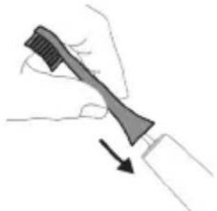 PHILIPS Sonicare ExpertClean 7300 HX9611 - Щетка саптамасын бекіту - 1