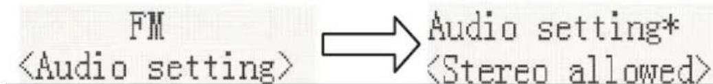 FM Audio setting*