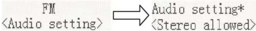 FM Audio setting*