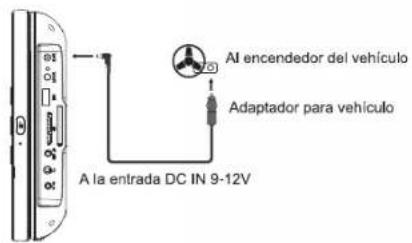 MUSE M-1028 CVB - Atención: - 1