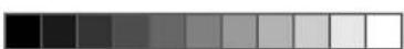 MUSE M-1028 CVB - Forget Password - 3