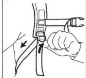 Sanitaire TRANSPORT Cordless SC580A - Assemblage et mode d'emploi - 3