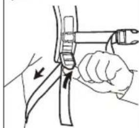 Sanitaire TRANSPORT Cordless SC580A - How to assemble and use - 5