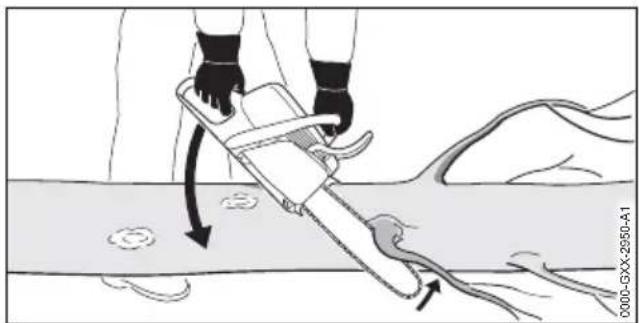 STIHL MS 162 - Ébranchage - 1