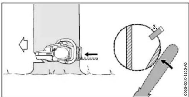 STIHL MS 212 - Abattage d'un arbre normal de faible diamètre de tronc - 2