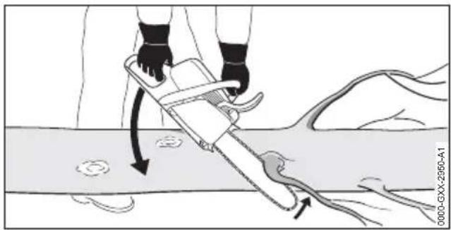 STIHL MS 212 - Ébranchage - 1