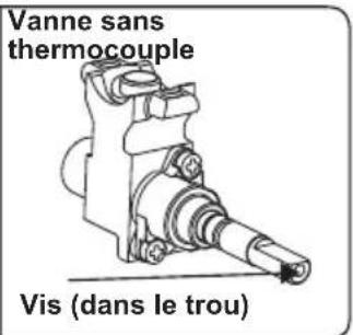 SIGNATURE SCG60IX - Réglage de la position minimum de la flamme - 2