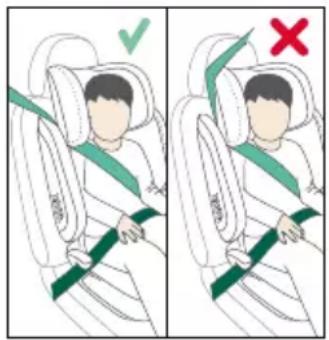 Diagram showing correct and incorrect seatbelt usage for a person in a car seatbelt, with green checkmark and red X mark indicating absence.