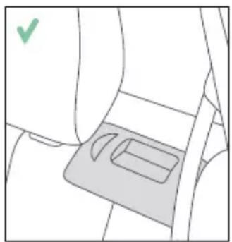 RECARO Monza CFX - PROTEJAREA VEHICULULUI - 2