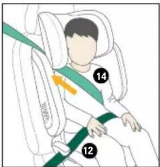 Diagram of a person wearing a car seatbelt with numbered labels 12 and 14 indicating different positions or directions.