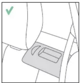 RECARO Monza CFX - PROTECTION DU VÉHICULE - 3