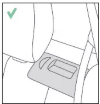 RECARO Monza CFX - TRANSPORTLİDZEKLA AIZSARDZİBA - 2