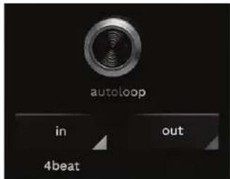 autoloop in out 4beat