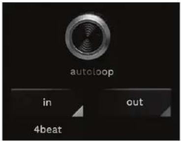 autoloop in out 4beat
