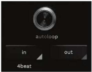 autoloop in out 4beat