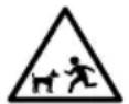 Simpson IR2030012B - RISK OF EYE INJURY - 1