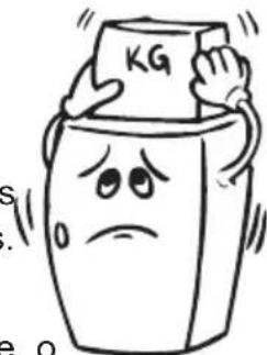 KG s e o