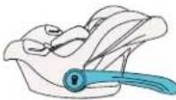 Kindercraft MINK PRO - Utilisation - 3