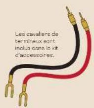 Les cavaliers de terminaux sont inclus dans la kit d'accessoires.