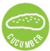 JUICEMAN JM3000C - FOOD NUTRIENT - 1