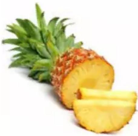 JUICEMAN JM3000C - JUICE RECIPES - 2