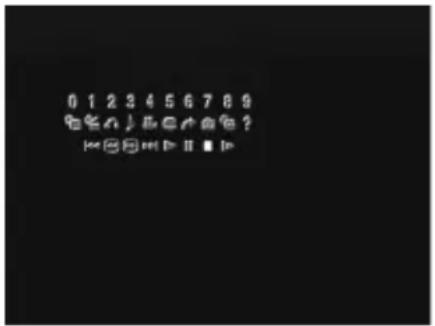 SONY SCPH-10171 - Press the DISPLAY or SELECT button of the DVD remote control. - 1