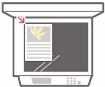 CANON imageRUNNER ADVANCE C3520i III - Colocacion de documents originales en el cristal - 1