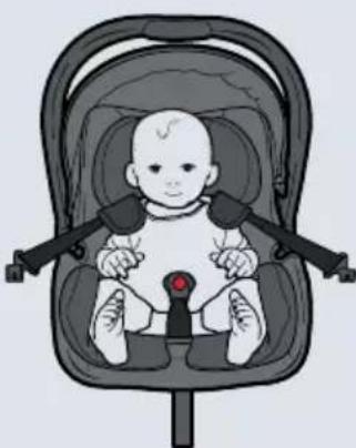 Axkid Envirobaby - 6