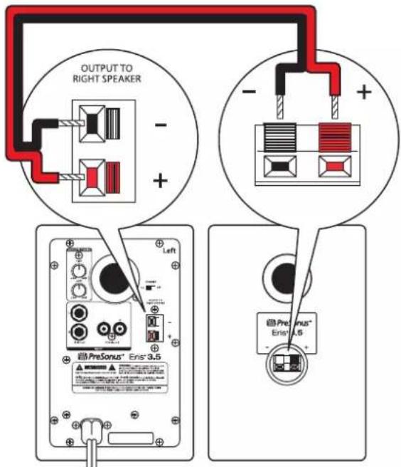 OUTPUT TO RIGHT SPEAKER - + - + Left PreSonus* Enis 3.5 PreSonus* Enis 1.6