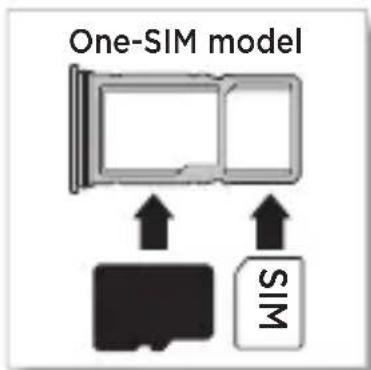 One-SIM model MIS