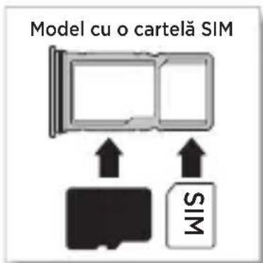 Model cu o cartelă SIM MIS