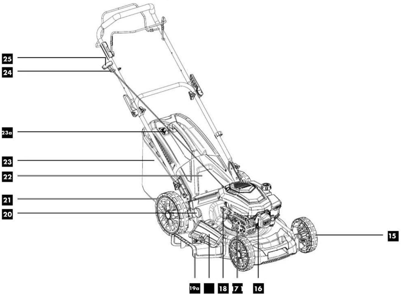 PARKSIDE PBRM 51 A1 - TONDEUSE THERMIQUE - 1
