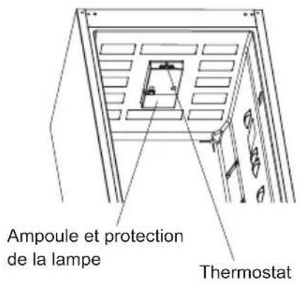 Ampoule et protection de la lampe Thermostat