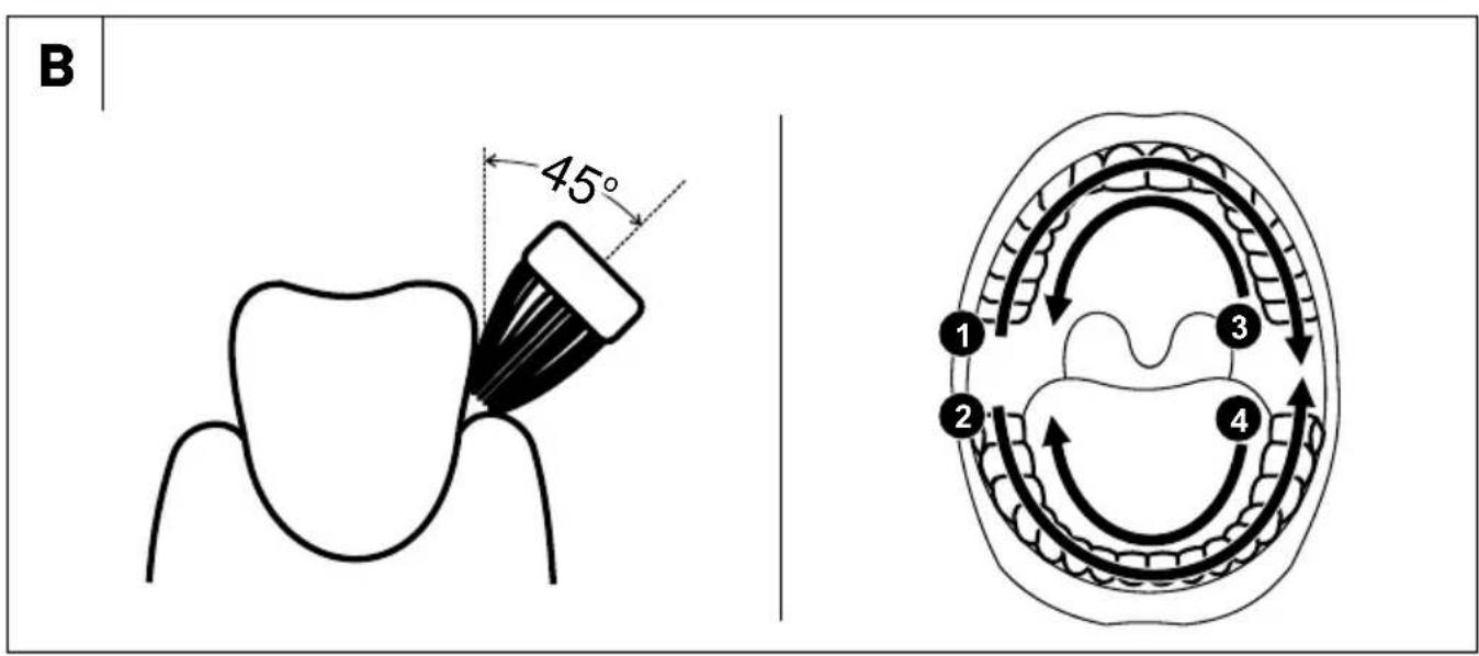 SENCOR SOC 0810BL - 3