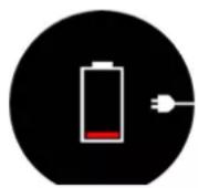 SUUNTO Race - Batterie - 2