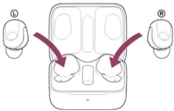 SONY INZONE Buds - Installez le casque dans l'étui de recharge. - 1