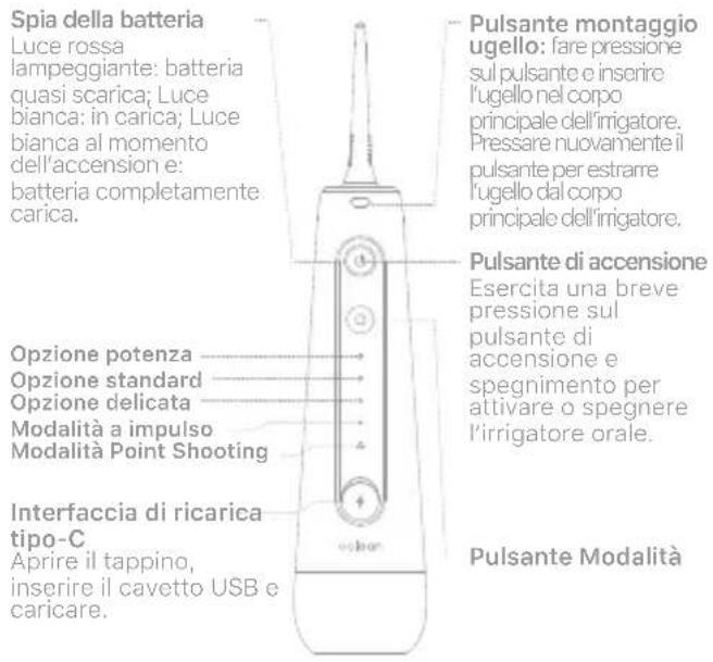 Oclean W10 - Ugello - 1