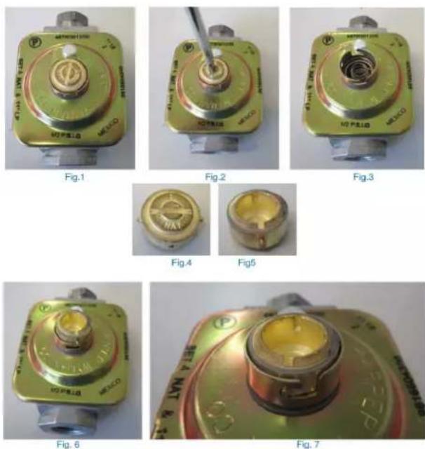 Forza FR304SE - Pressure Regulator Conversion - 1