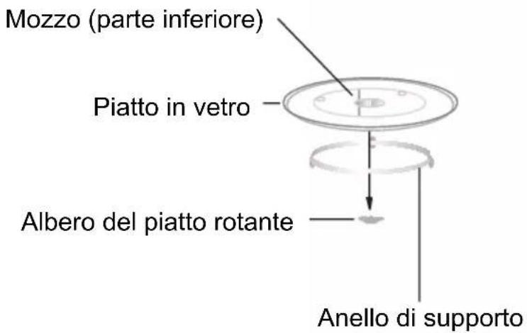 Mozzo (parte inferiore) Piatto in vetro Albero del piatto rotante Anello di supporto